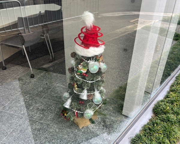 今年も店頭にクリスマスツリー登場!! サムネイル画像