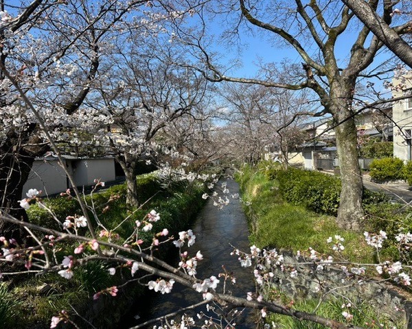 【下鴨/古家付】査定のご依頼をいただきました♪ サムネイル画像